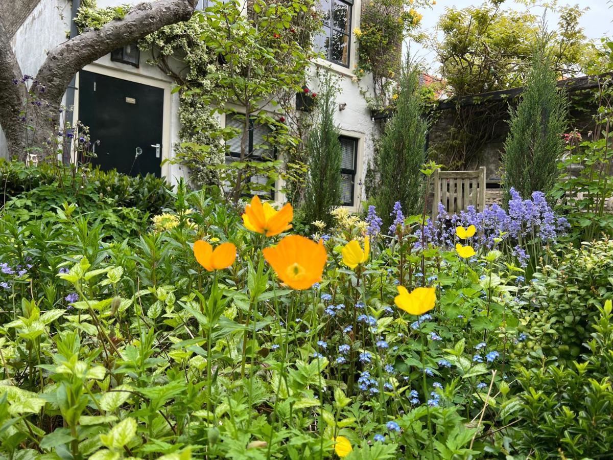 Apple Tree Cottage - Charming Home At Beautiful Canal In Our Idyllic Garden Gouda Exterior foto