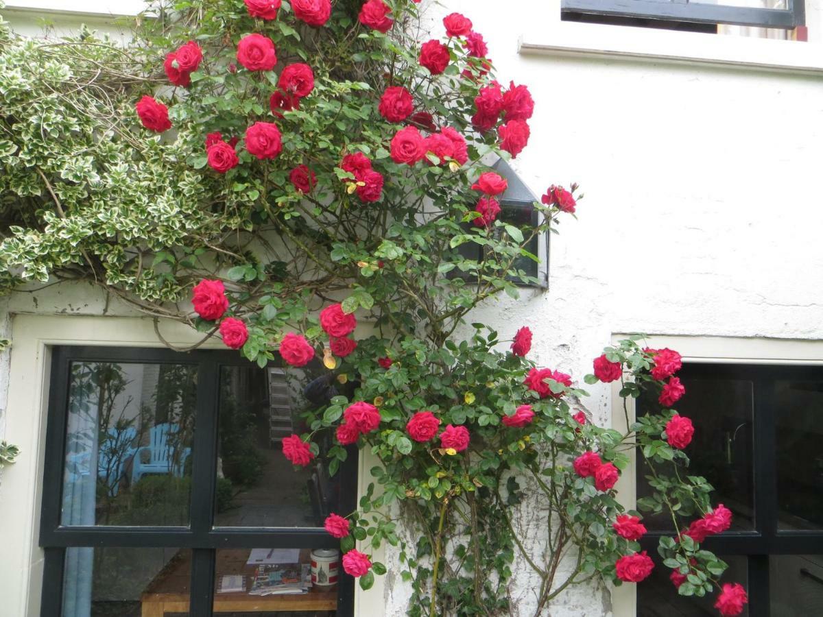 Apple Tree Cottage - Charming Home At Beautiful Canal In Our Idyllic Garden Gouda Exterior foto